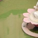 Vraj-Yatra-2014- (1531)